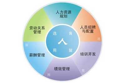 大任人力资源管理系统