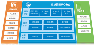 大任人力资源管理系统